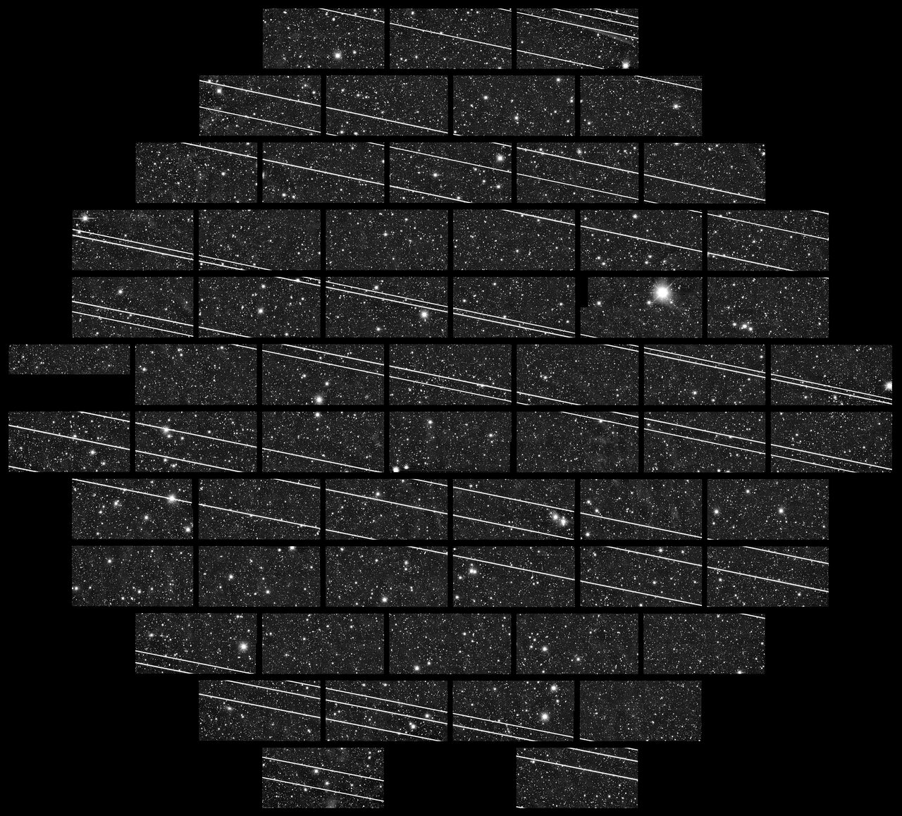Stars and satellites as seen by the Dark Energy Camera